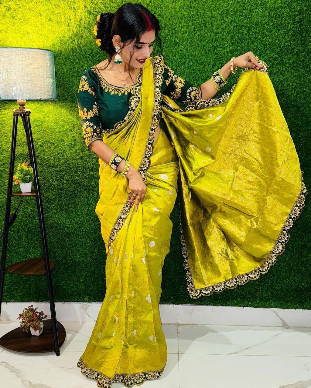 Party Wear Embroidery Work PISTA Saree With Golden Border - PERROT