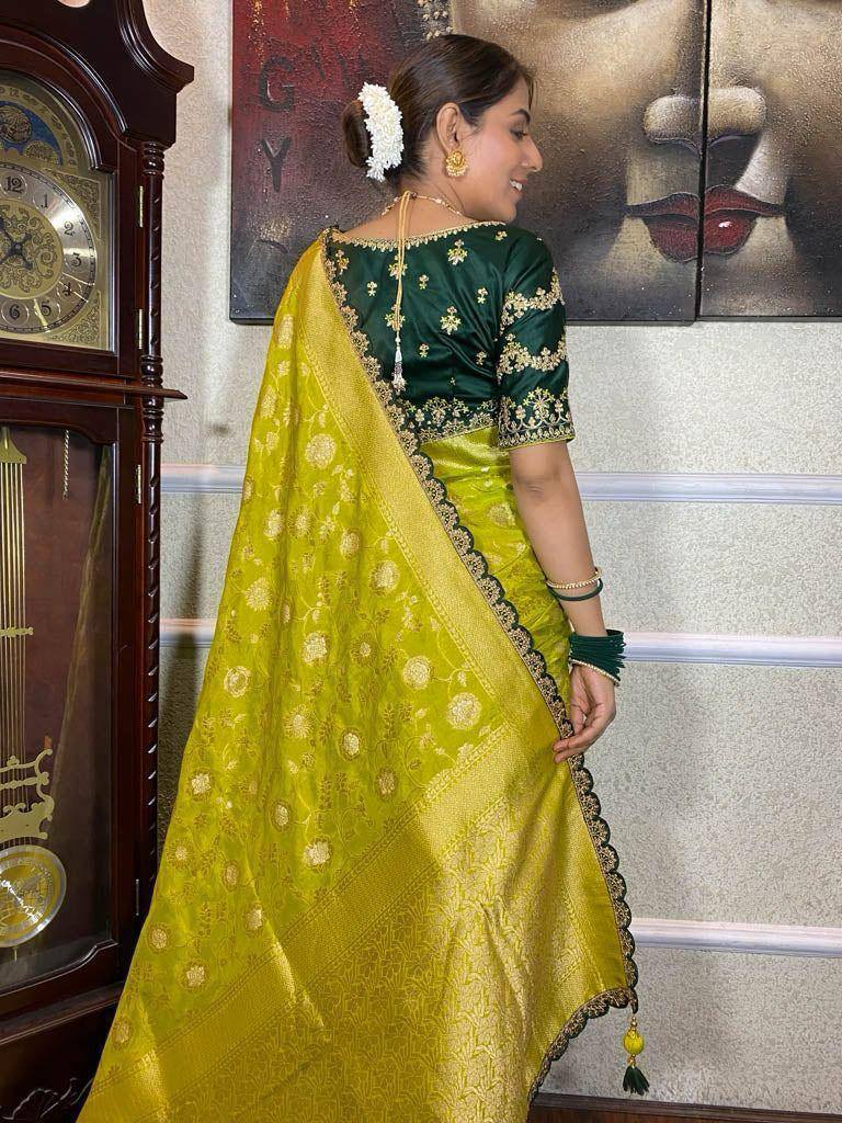 Party Wear Embroidery Work PISTA Saree With Golden Border - PERROT