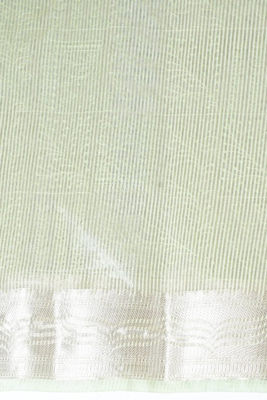 Pastel Green Tissue Silk Saree with Chikankari Embroidery