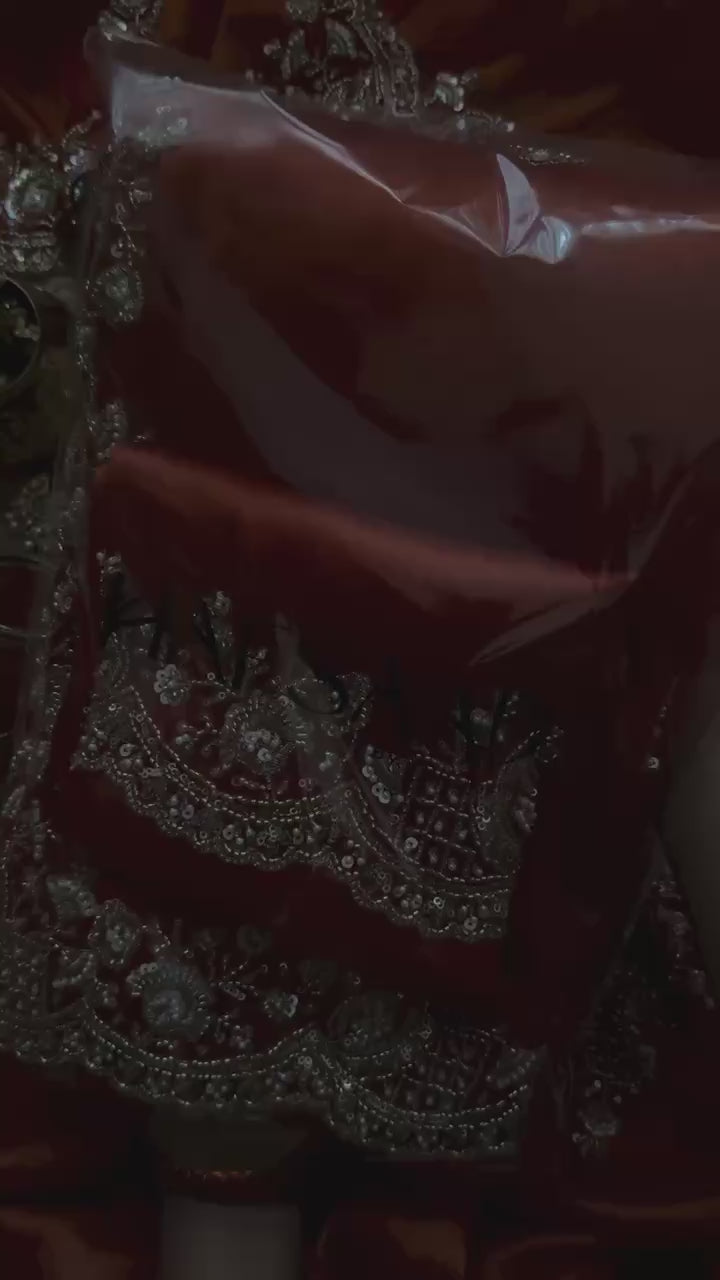 Ruhani Zarkash Tissue Saree