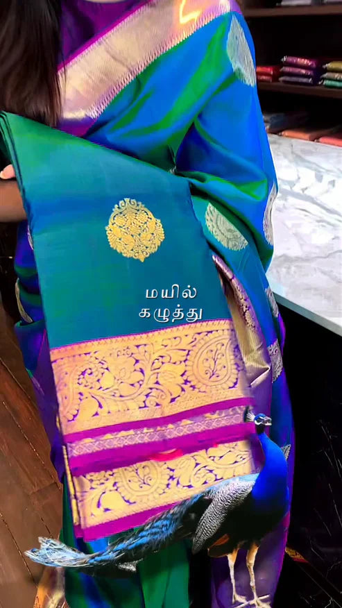 Peacock Shaded Saree