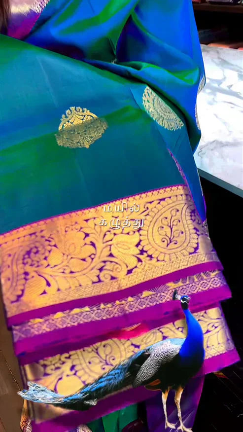 Peacock Shaded Saree